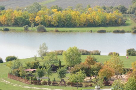 Két ismeretterjesztő séta is lesz a héten a Palotavárosi tavaknál